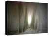 The Avenue-Josh Adamski-Stretched Canvas