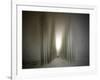 The Avenue-Josh Adamski-Framed Photographic Print