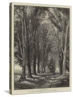 The Avenue-Thomas Creswick-Stretched Canvas