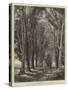 The Avenue-Thomas Creswick-Stretched Canvas