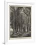 The Avenue-Thomas Creswick-Framed Giclee Print