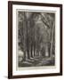 The Avenue-Thomas Creswick-Framed Giclee Print