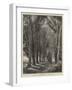 The Avenue-Thomas Creswick-Framed Giclee Print