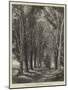 The Avenue-Thomas Creswick-Mounted Giclee Print