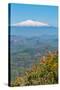 The Awe Inspiring Mount Etna, UNESCO World Heritage Site and Europe's Tallest Active Volcano-Martin Child-Stretched Canvas