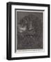 The Aye-Aye, Recently Added to the Zoological Society's Collection, Regent's Park-null-Framed Premium Giclee Print