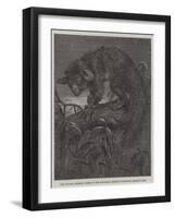 The Aye-Aye, Recently Added to the Zoological Society's Collection, Regent's Park-null-Framed Giclee Print