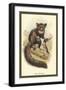 The Aye-Aye-Sir William Jardine-Framed Art Print