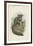 The Aye-Aye-null-Framed Giclee Print