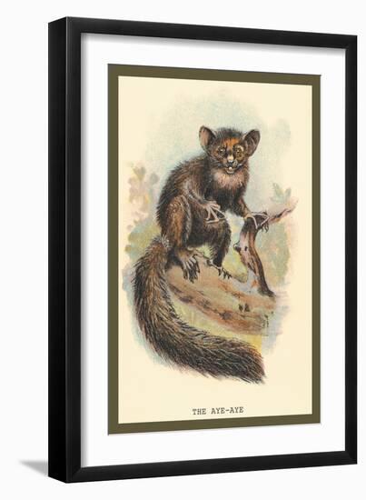 The Aye-Aye-Sir William Jardine-Framed Art Print