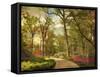 The Azalea Garden-Jessica Jenney-Framed Stretched Canvas