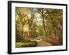 The Azalea Garden-Jessica Jenney-Framed Photographic Print