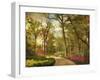 The Azalea Garden-Jessica Jenney-Framed Photographic Print