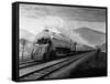 The B&O 5302-L.W. Sagle-Framed Stretched Canvas