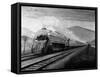 The B&O 5302-L.W. Sagle-Framed Stretched Canvas