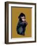 The Baby Macaque on Golden Yellow, 2020, (Pen and Ink)-Mike Davis-Framed Giclee Print