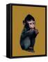 The Baby Macaque on Golden Yellow, 2020, (Pen and Ink)-Mike Davis-Framed Stretched Canvas