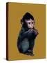 The Baby Macaque on Golden Yellow, 2020, (Pen and Ink)-Mike Davis-Stretched Canvas