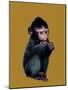 The Baby Macaque on Golden Yellow, 2020, (Pen and Ink)-Mike Davis-Mounted Giclee Print