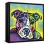 The Baby Pit Bull, Dogs, Pets, Animals,Baby, Pit bulls, Yellow glow, Star burst, Rays, white snout-Russo Dean-Framed Stretched Canvas