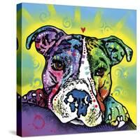 The Baby Pit Bull, Dogs, Pets, Animals,Baby, Pit bulls, Yellow glow, Star burst, Rays, white snout-Russo Dean-Stretched Canvas