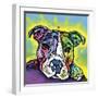 The Baby Pit Bull, Dogs, Pets, Animals,Baby, Pit bulls, Yellow glow, Star burst, Rays, white snout-Russo Dean-Framed Giclee Print