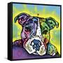 The Baby Pit Bull, Dogs, Pets, Animals,Baby, Pit bulls, Yellow glow, Star burst, Rays, white snout-Russo Dean-Framed Stretched Canvas