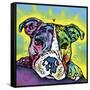 The Baby Pit Bull, Dogs, Pets, Animals,Baby, Pit bulls, Yellow glow, Star burst, Rays, white snout-Russo Dean-Framed Stretched Canvas