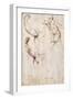 The Back of a Nude and Two Studies of a Raised Arm and Shoulder, Seen from the Front-Perino Del Vaga-Framed Giclee Print