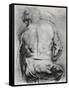 The Back of a Nude Man, C1610-Peter Paul Rubens-Framed Stretched Canvas