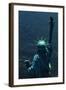 The Back of the Statue of Liberty-Dirck Halstead-Framed Photographic Print