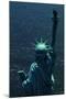 The Back of the Statue of Liberty-Dirck Halstead-Mounted Photographic Print