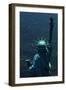 The Back of the Statue of Liberty-Dirck Halstead-Framed Photographic Print