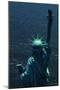 The Back of the Statue of Liberty-Dirck Halstead-Mounted Photographic Print