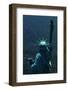 The Back of the Statue of Liberty-Dirck Halstead-Framed Photographic Print