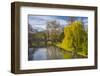 The Backs, River Cam, Cambridge, Cambridgeshire, England, United Kingdom, Europe-Alan Copson-Framed Photographic Print