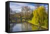 The Backs, River Cam, Cambridge, Cambridgeshire, England, United Kingdom, Europe-Alan Copson-Framed Stretched Canvas