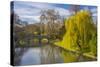 The Backs, River Cam, Cambridge, Cambridgeshire, England, United Kingdom, Europe-Alan Copson-Stretched Canvas