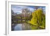 The Backs, River Cam, Cambridge, Cambridgeshire, England, United Kingdom, Europe-Alan Copson-Framed Photographic Print