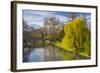 The Backs, River Cam, Cambridge, Cambridgeshire, England, United Kingdom, Europe-Alan Copson-Framed Photographic Print