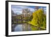 The Backs, River Cam, Cambridge, Cambridgeshire, England, United Kingdom, Europe-Alan Copson-Framed Photographic Print