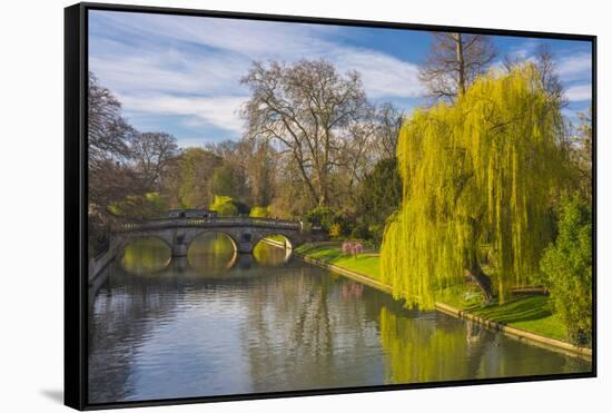 The Backs, River Cam, Cambridge, Cambridgeshire, England, United Kingdom, Europe-Alan Copson-Framed Stretched Canvas