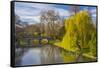 The Backs, River Cam, Cambridge, Cambridgeshire, England, United Kingdom, Europe-Alan Copson-Framed Stretched Canvas