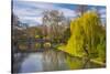 The Backs, River Cam, Cambridge, Cambridgeshire, England, United Kingdom, Europe-Alan Copson-Stretched Canvas