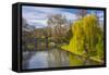 The Backs, River Cam, Cambridge, Cambridgeshire, England, United Kingdom, Europe-Alan Copson-Framed Stretched Canvas