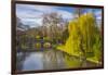 The Backs, River Cam, Cambridge, Cambridgeshire, England, United Kingdom, Europe-Alan Copson-Framed Premium Photographic Print