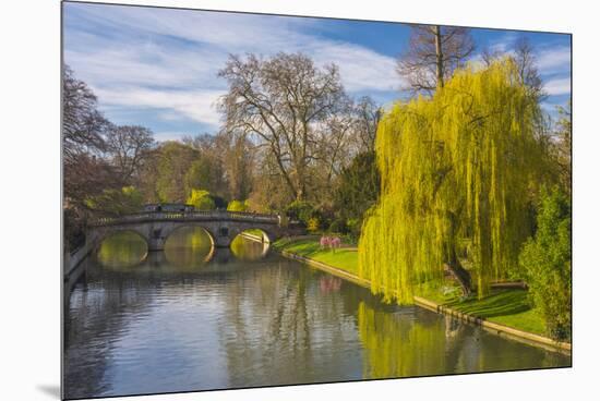 The Backs, River Cam, Cambridge, Cambridgeshire, England, United Kingdom, Europe-Alan Copson-Mounted Premium Photographic Print