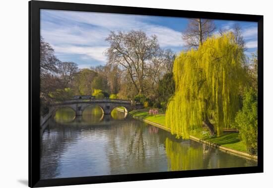 The Backs, River Cam, Cambridge, Cambridgeshire, England, United Kingdom, Europe-Alan Copson-Framed Premium Photographic Print