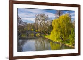 The Backs, River Cam, Cambridge, Cambridgeshire, England, United Kingdom, Europe-Alan Copson-Framed Photographic Print