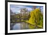 The Backs, River Cam, Cambridge, Cambridgeshire, England, United Kingdom, Europe-Alan Copson-Framed Photographic Print